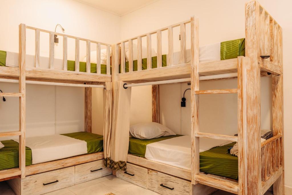 Bright shared dorm with handcrafted timber bunks